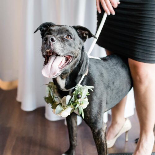 wedding attendant